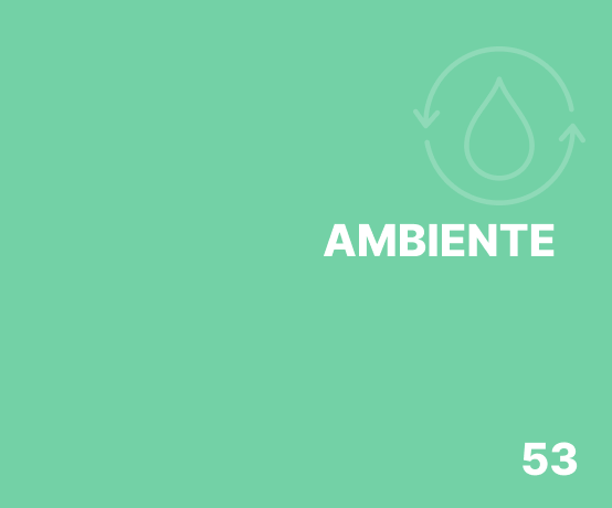 Ambiente