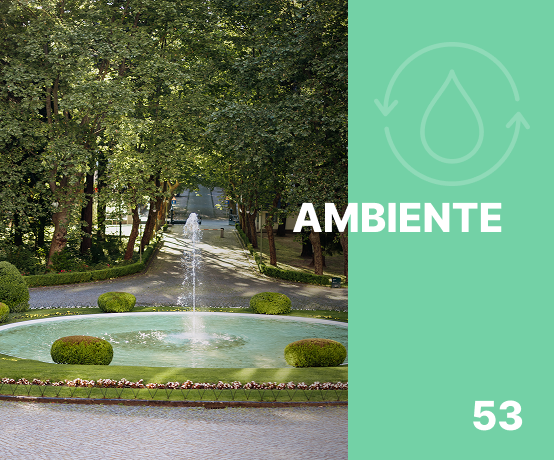 Ambiente